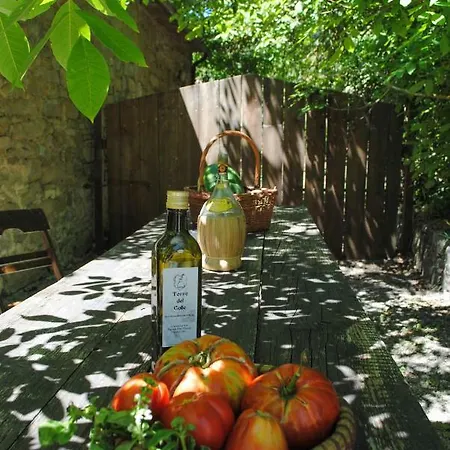Casa di campagna Eremo Di Fieri *